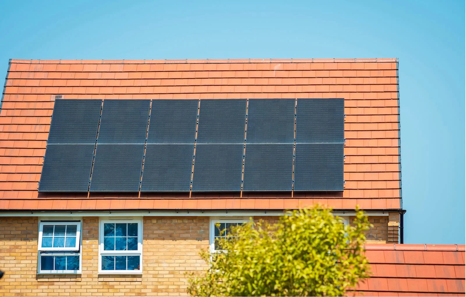 A house with a red-tiled roof has a large array of solar panels installed on it. Below the roof, there are three windows. A tree with green leaves is visible in the foreground under a clear blue sky.