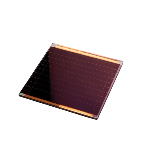 Perovskite Solar Panels