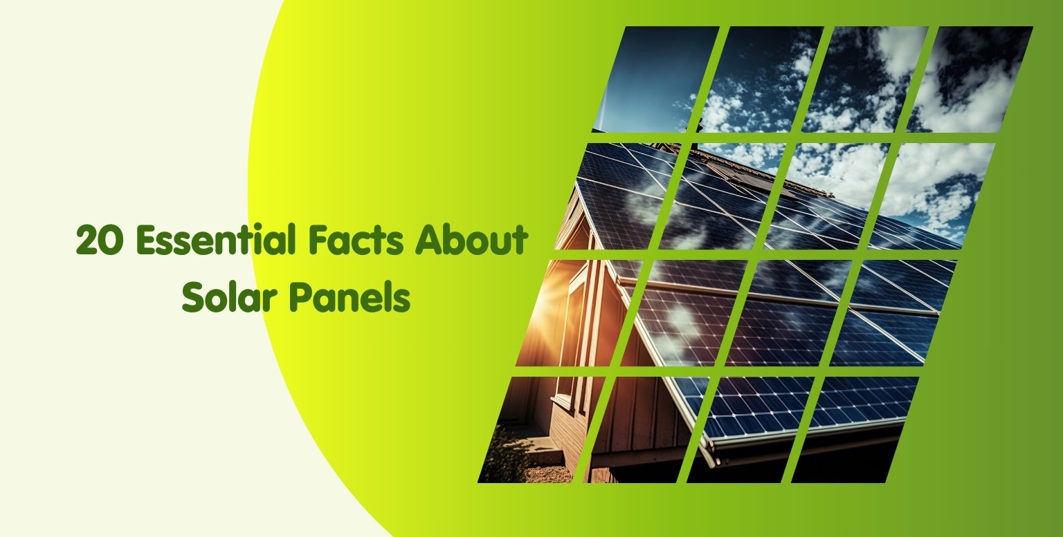 20 Essential Facts About Solar Panels