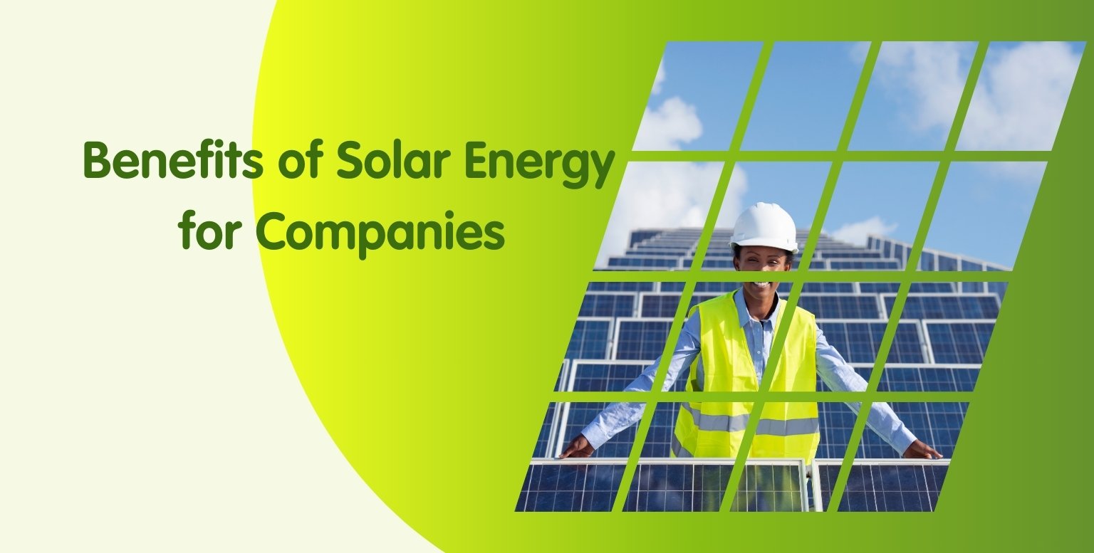 Benefits of Solar Energy for Companies: A Practical Guide