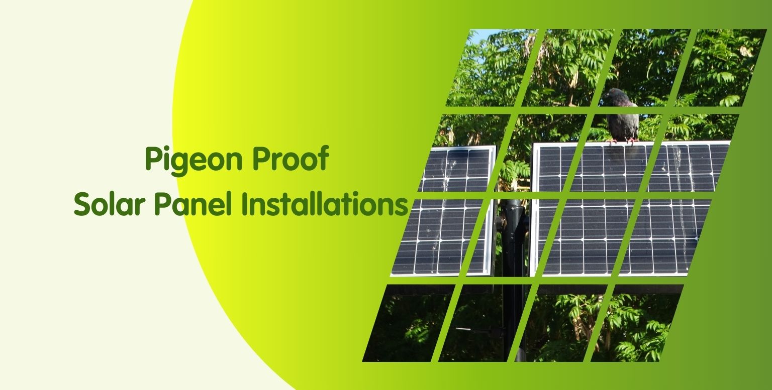 Pigeon Proof Solar Panels: Best Ways & Installation Tips