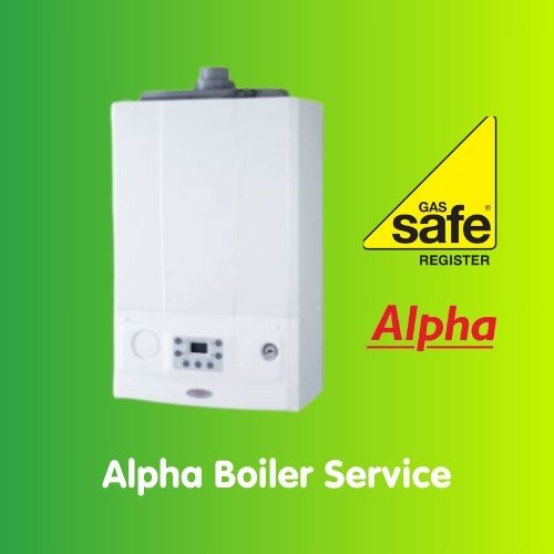 Alpha Boiler Service